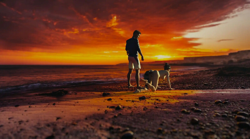 【双端】【沙盒SLG/动态/汉化】丽莎的全面调查（Lisa Total Investigation）P2 v0.72B 汉化中文【PC+安卓-8.20G】