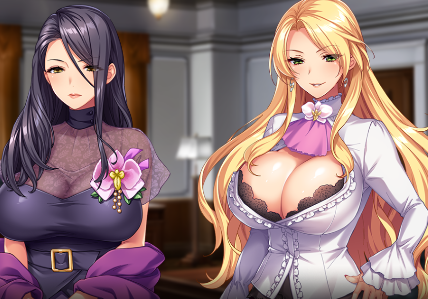 【PC】[ADV/日式/校园/奇幻/精品]圣奴隶学园3 全CG存档+AI汉化全修图版[5.9G]