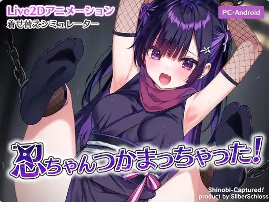 【PC】忍被抓住啦！忍ちゃんつかまっちゃった！ 正式去码版+存档[220M]