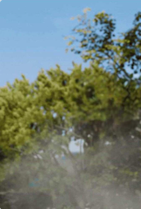 【PC】[ARPG/欧美/冒险/黑暗]悲与乐之路[H版暗黑] V0.1生肉版[11G]