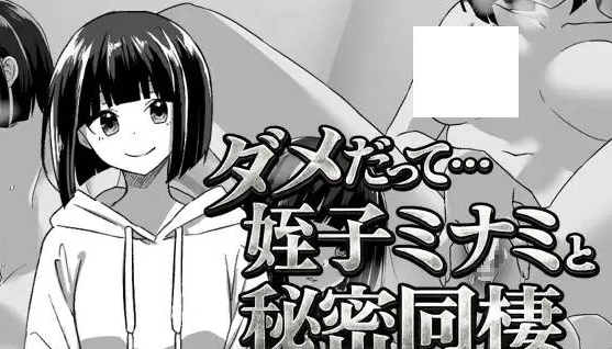 【PC】[RPG/日系/模拟/互动/亲热/抚摸/触摸/羞耻]不行啦-和侄女美波的秘密同居 内嵌AI汉化版[340M]